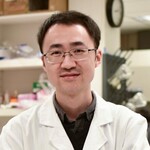 Professor Yufeng WANG
